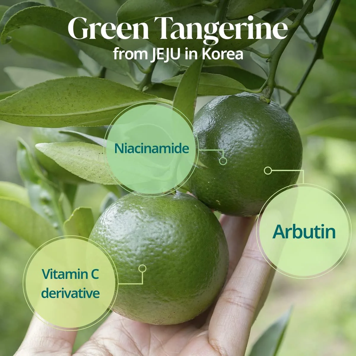 Green Tangerine Vita C Toner - Image 4