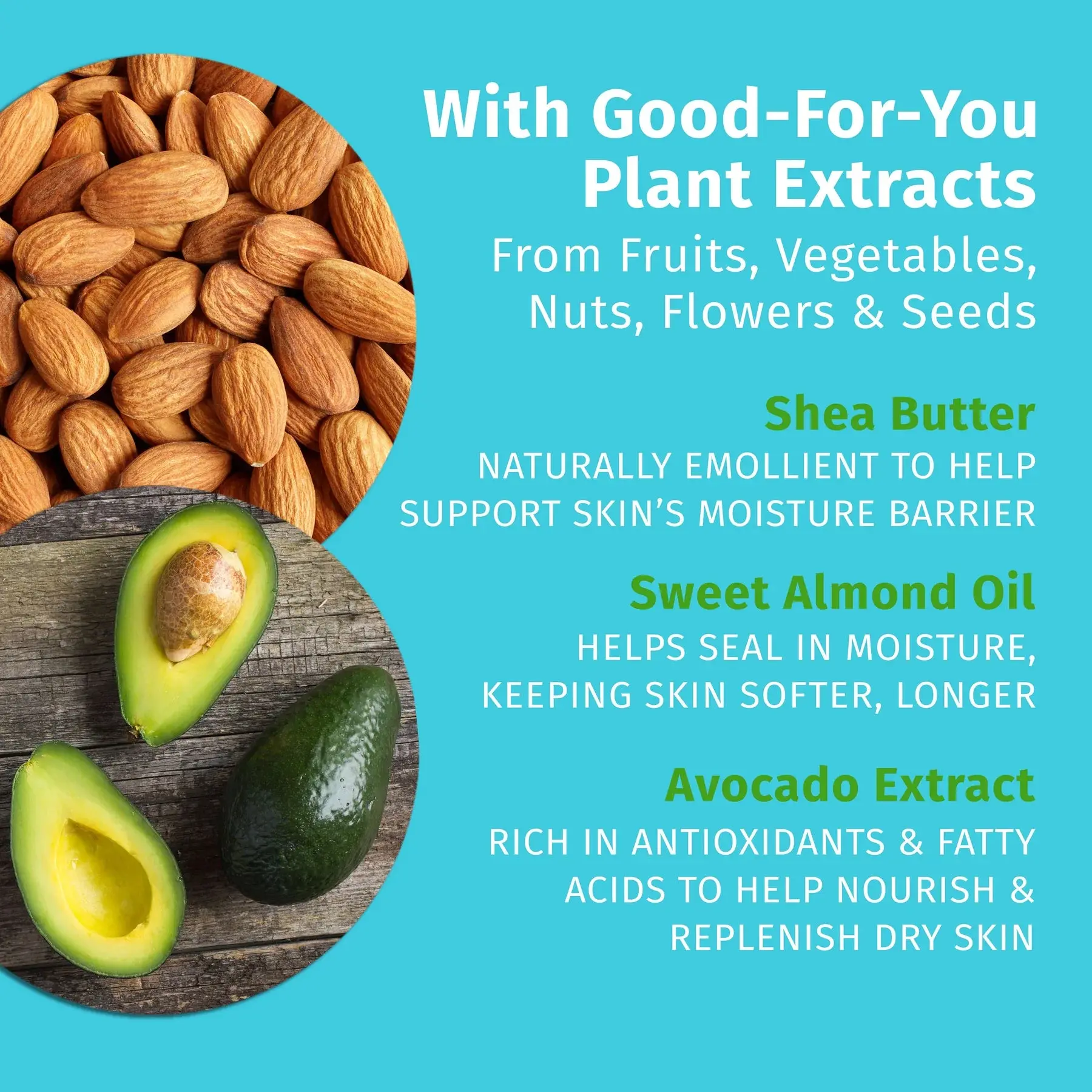 Koa & Sweet Almond Herbal Body Moisturizer - Image 4