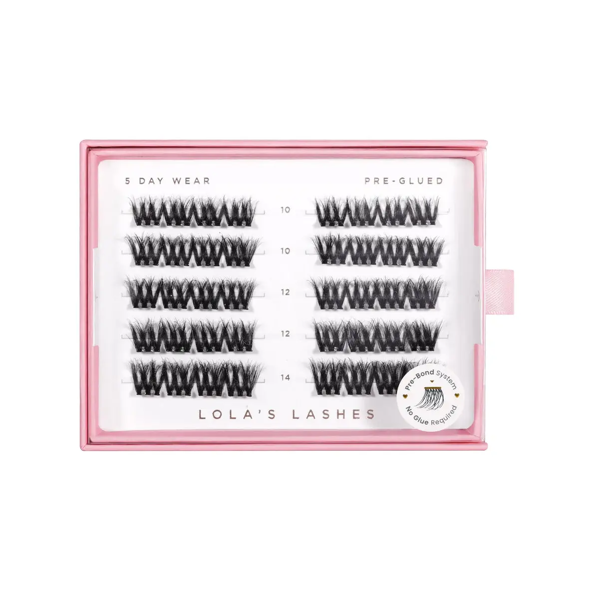 Bold Definition Pre Glued Lashes