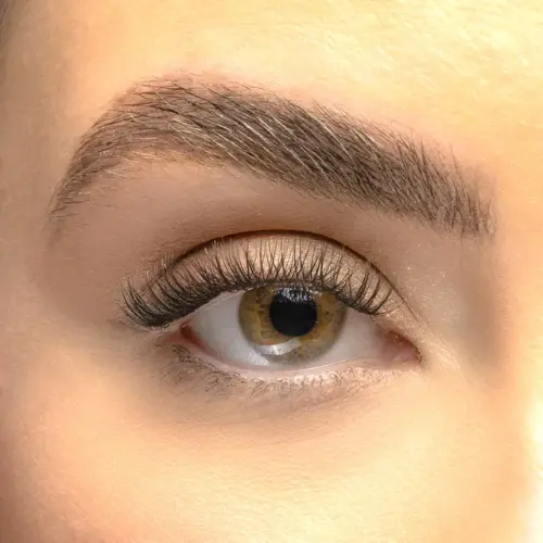 Classic DIY Cluster Lashes - Image 2