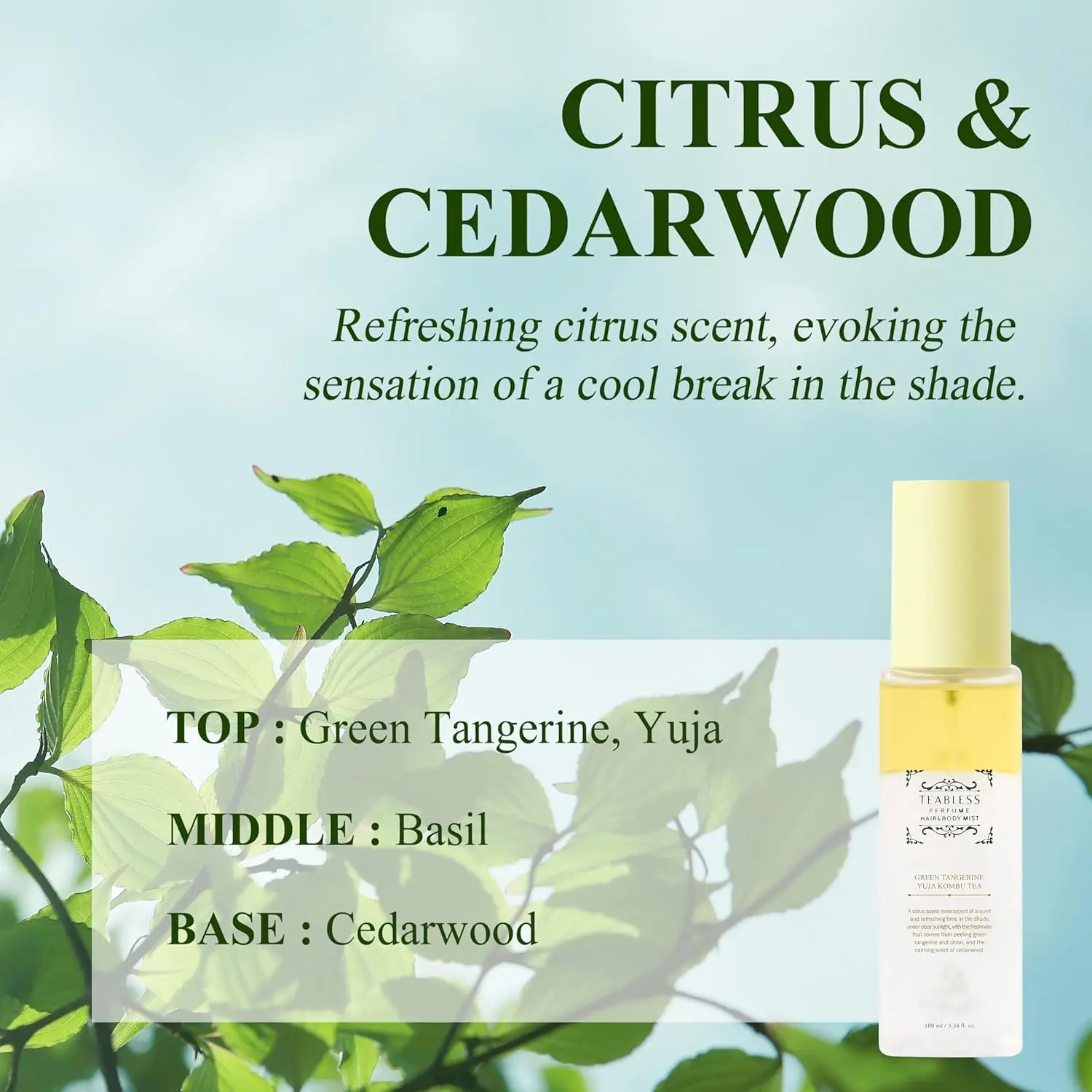 Green Tangerine Yuja Kombu Tea Perfume Hair & Body Mist - Image 5